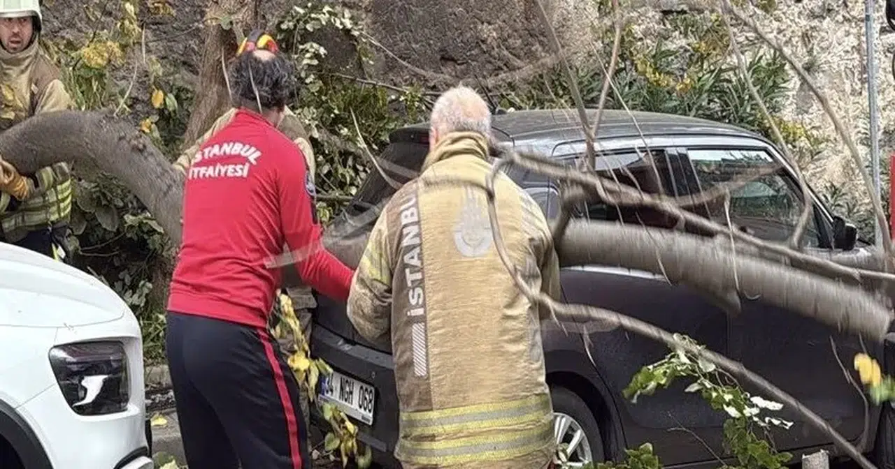 İSTANBUL'DA HIZLA ESEN FIRTINA AĞAÇLARI VE DİREKLERİ DEVİRDİ!