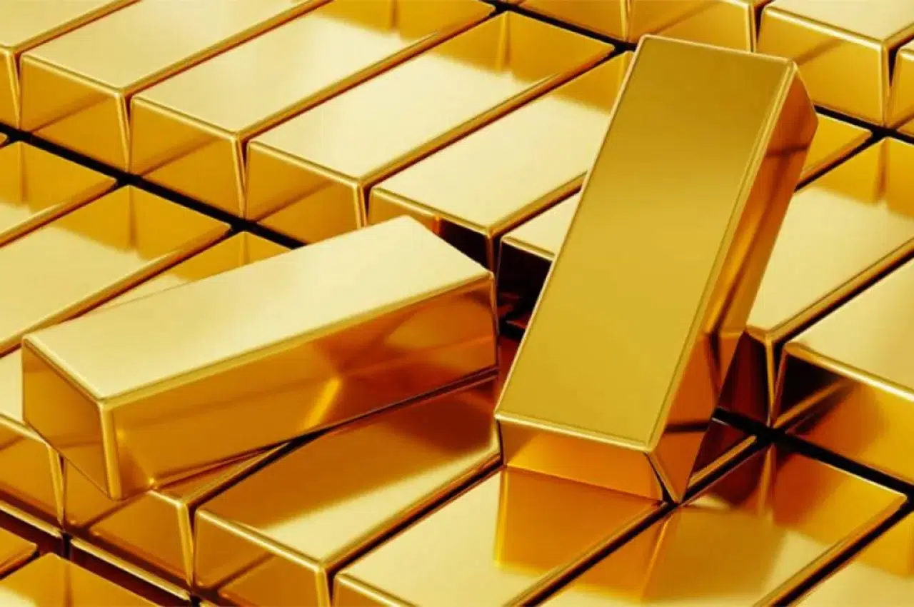 TÜRK EKONOMİSİNE TERÖRDEN BÜYÜK ZARAR VERENLERE OPERASYON!