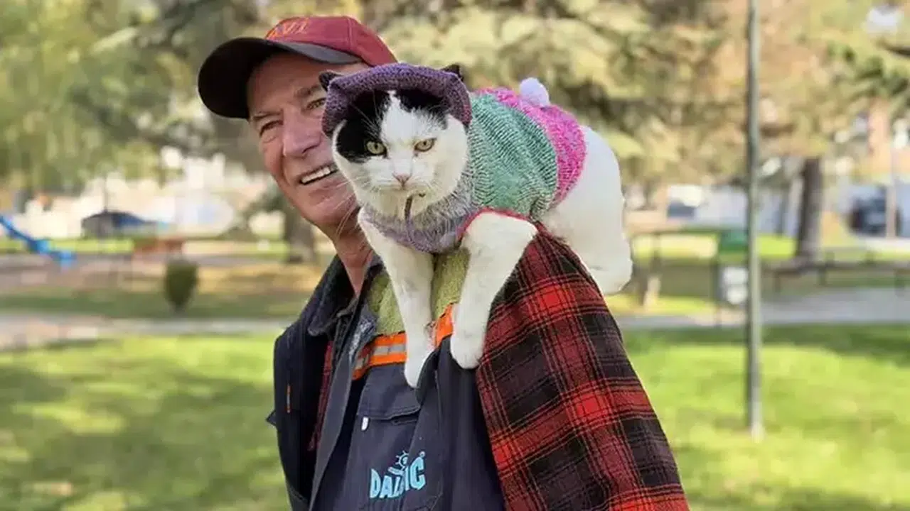 SYLVİA ADLI KEDİSİ İLE 12 YILDA 65 ŞEHİR GEZDİ! ŞİMDİ HEDEF SELANİK!