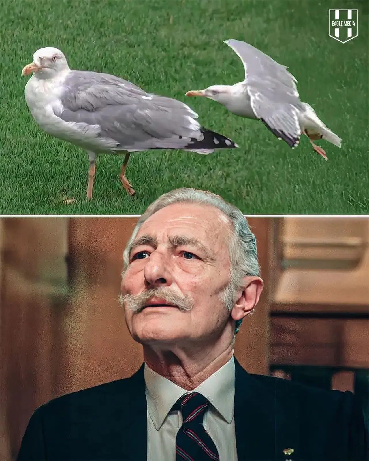 BEŞİKTAŞ’IN EFSANESİ SÜLEYMAN SEBA BUGÜN STADA MARTI OLARAK MI GELDİ?