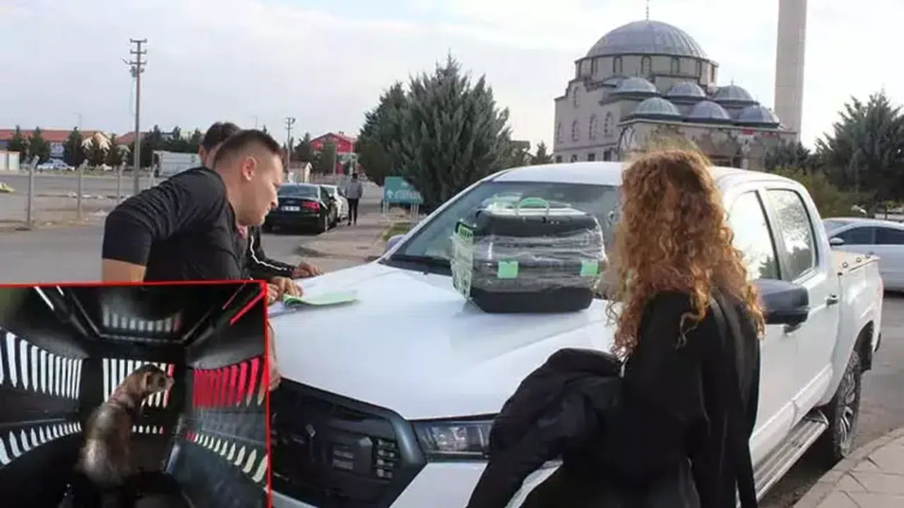 NESLİ TEHLİKE ALTINDAKİ KARA AYAKLI GELİNCİĞİ SATARKEN YAKALANDI!