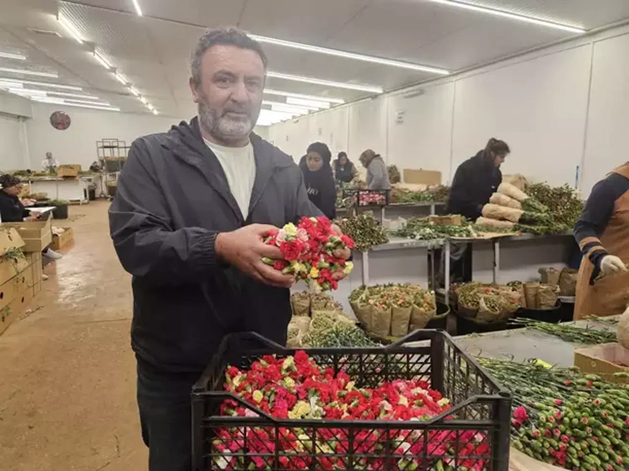 AB'NİN YUNAN GELENEĞİ TABAK KIRMA YASAĞI TÜRKLERE YARADI!