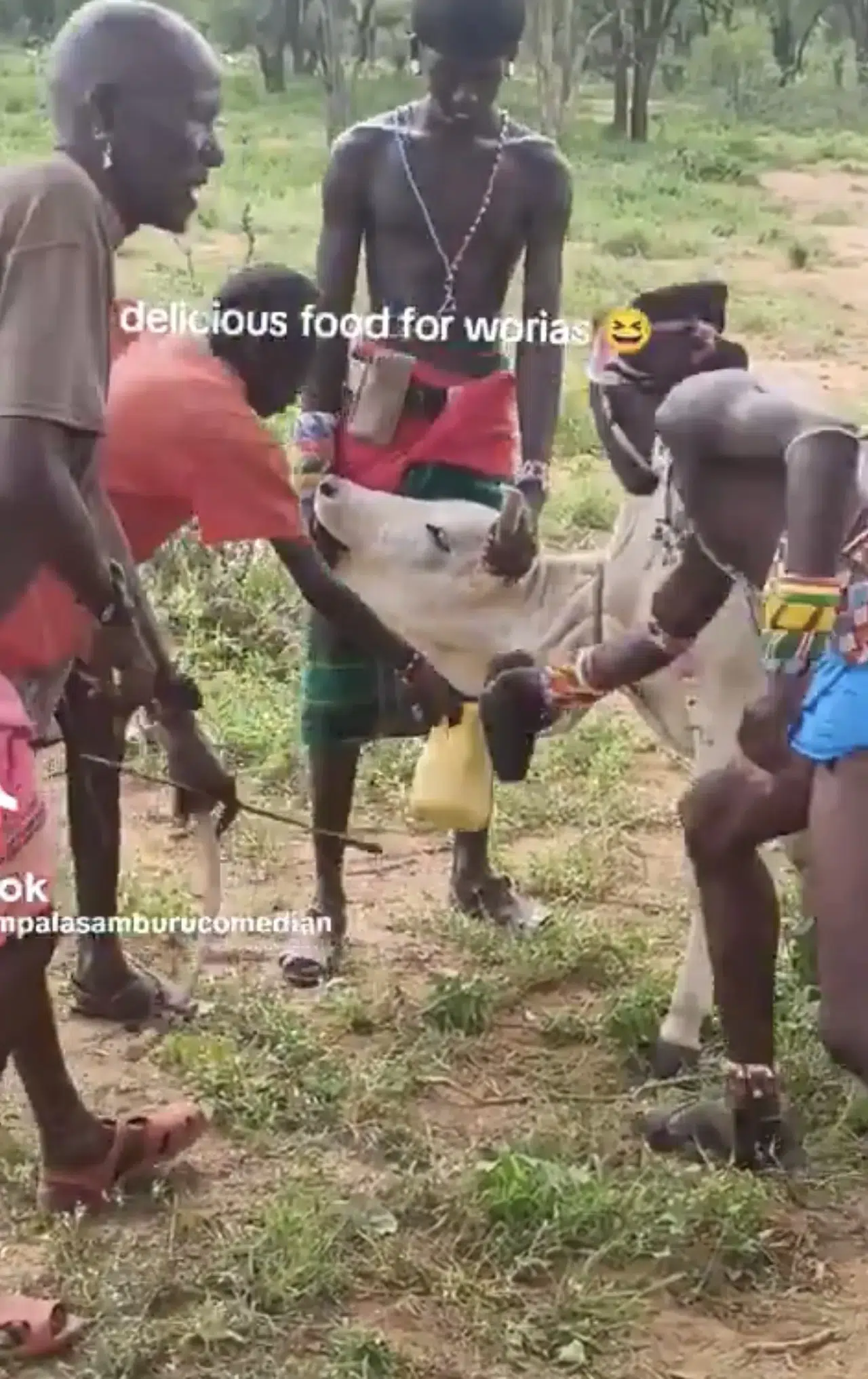 ETİOPYA’DA SURMA ERKEKLERİNİN TAZE İNEK KANI İÇME GELENEĞİ SÜRÜYOR!