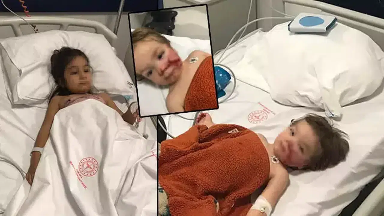 İKİ KIZ KARDEŞİ SALDIRAN PİTBUL VE SAHİBİ YAKALANDI!