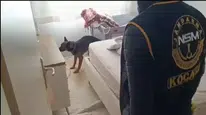 KOCAELİ'DE 40 ADRESE BİRDEN UYUŞTURUCU BASKINI YAPILDI!