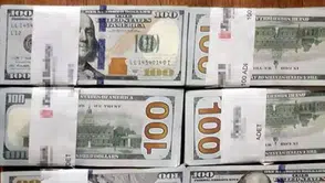 BİR AĞACIN DİBİNDE İÇİNDE 60 BİN DOLAR BULAN TEMİZLİKÇİ POLİSE TESLİM ETTİ!