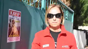 KAYIP KÖPEK YAŞAR’I BULANA 50 BİN TL ÖDÜL VERİLECEK!