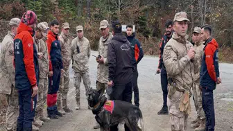 BOZKURT'TA ORMANDA KAYBOLAN ANNE VE OĞLUNDAN HENÜZ HABER YOK!