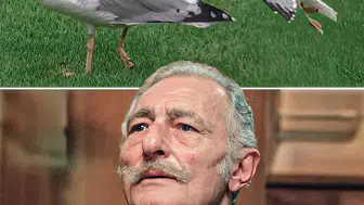 BEŞİKTAŞ’IN EFSANESİ SÜLEYMAN SEBA BUGÜN STADA MARTI OLARAK MI GELDİ?