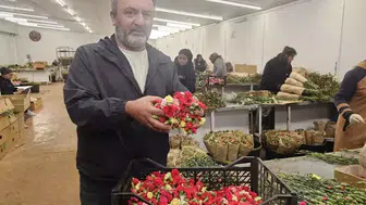 AB'NİN YUNAN GELENEĞİ TABAK KIRMA YASAĞI TÜRKLERE YARADI!