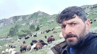 ARTVİN’DEN DE ÇİĞ ALTINDA KALAN İKİNCİ ÇOBANIN DA CESEDİNE ULAŞILDI!