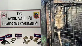 KUŞADASI'NDA RUHSATSIZ SİLAHLAR İLE BİR MAYMUN ELE GEÇİRİLDİ!