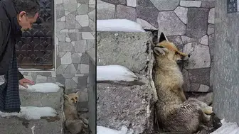 ARDAHAN BELEDİYE BAŞKANI YARALI TİLKİYE SAHİP ÇIKTI!