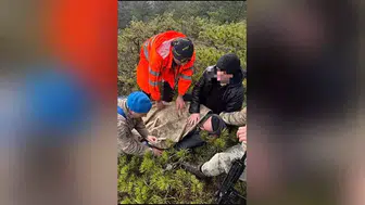 BOLU'DA AVDA KAYBOLAN AVCI BAYGIN OLARAK BULUNDU!