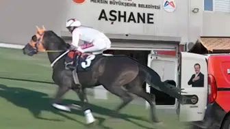 MERSİN'DE KAVURMA OLAN ŞAMPİYON AT 50 BİN TL'YE SATILMIŞ!