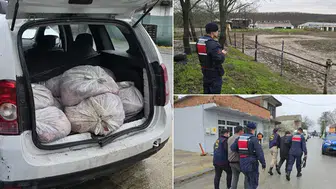 ÇATALCA’DA AT ETİ OPERASYONU YAPILDI! KESİLMEYE HAZIR 120 AT ELEGEÇİRİLDİ!