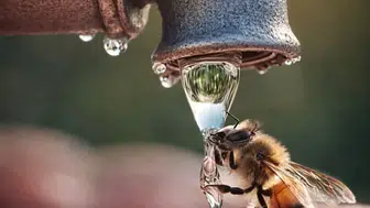 YILIN FOTOĞRAFI SEÇİLDİ! NATIONAL GEOGRAPHIC’TEN BÜYÜK ÖDÜL!