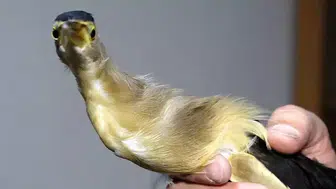 DERSTEKİ TEORİ OKULUN BAHÇESİNDE PRATİĞE DÖNÜŞTÜ!