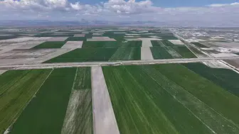 YAĞIŞLARLA KONYA OVASINDA 500 BİN TON REKOLTE ARTIŞI BEKLENİYOR!