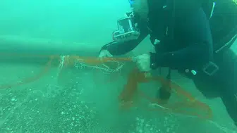 11 YILDA 3 MİLYON METRE KARE "HAYALET AĞLAR" TEMİZLENDİ!