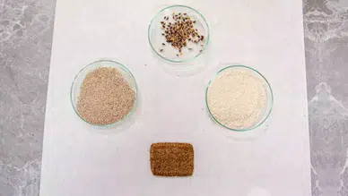 ALZHEİMER KANSER VE DİABETİ BU BİSKÜVİ ÖNLEYECEK!