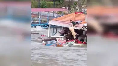 SAHİBİ "PAŞA" ADLI KÖPEĞİNİ SELDEN BÖYLE KURTARDI!