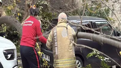 İSTANBUL'DA HIZLA ESEN FIRTINA AĞAÇLARI VE DİREKLERİ DEVİRDİ!