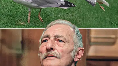 BEŞİKTAŞ’IN EFSANESİ SÜLEYMAN SEBA BUGÜN STADA MARTI OLARAK MI GELDİ?