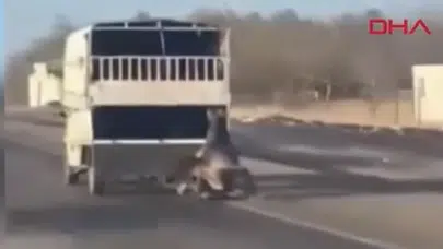 BATMAN’DA GÖRENLERİ ŞOKE EDEN BİR GÖRÜNTÜ ÇEKİLDİ!