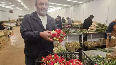 AB'NİN YUNAN GELENEĞİ TABAK KIRMA YASAĞI TÜRKLERE YARADI!