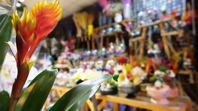 EŞİNİZE İSİMSİZ ÇİÇEK GÖNDERMEK BOŞANMA NEDENİ SAYILDI!