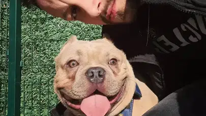 OKMEYDANI'NDAKİ KAZADA YANINDA SAHİBİ ÖLEN PABLO ARANIYOR!