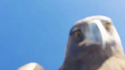 DRONE SEVER KARTAL GÖREVLİLERİ 6 SAAT SÜREN TIRMANIŞA ZORLADI!