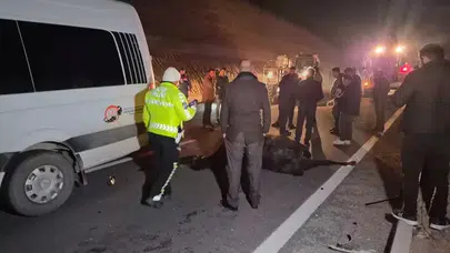 MALATYA’DA MİLYONLUK YARIŞ ATI TAYLARI ÇİFTLİKTEN NASIL KAÇTI?