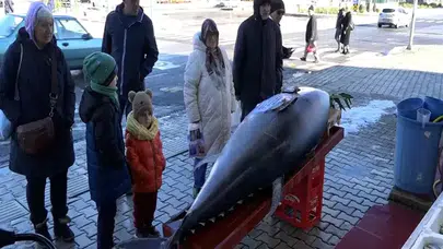 BİR GÜN ARAYLA İKİNCİ KEZ 353 KİLOLUK ORKİNOS YAKALANDI!