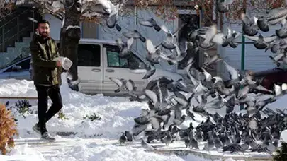 VAN'DAKİ ESNAF TAM 20 SENEDEN BERİ GÜVERCİNLERİ BESLİYOR!