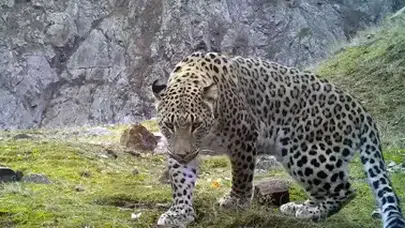 ANADOLU PARSI’NA ZARAR VERENLERE 45 MİLYON TL CEZA UYGULANACAK!