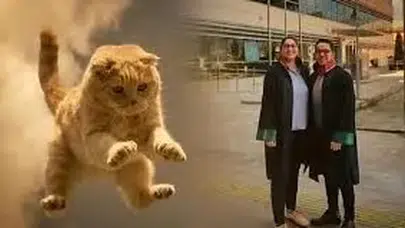 ÜZERİNE KEDİ DÜŞEN HASTA 50 BİN TL TAZMİNAT KAZANDI!