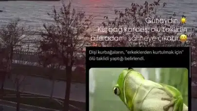 CEM YILMAZ'IN ESKİ SEVGİLİSİ PAYLAŞIMI İLE NE DEMEK İSTEDİ?