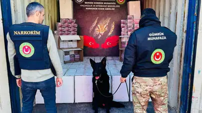 GÜMRÜK MUHAFAZA EKİPLERİ KAÇAKÇILARA GÖZ AÇTIMIYOR!