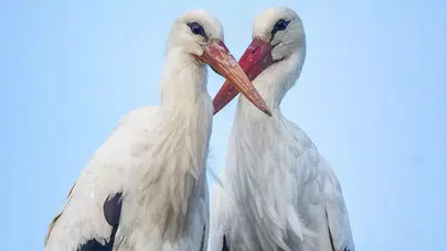 YAZIN HABERCİSİ YAREN LEYLEĞİN EŞİ NAZLI BURSA'YA GELDİ!