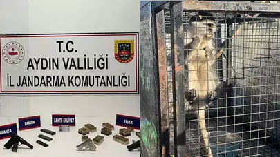 KUŞADASI'NDA RUHSATSIZ SİLAHLAR İLE BİR MAYMUN ELE GEÇİRİLDİ!
