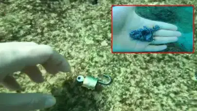 ANTALYA’DA DENİZ TEMİZLİĞİ SIRASINDA ÇIKANLAR ÇOK ŞAŞIRTIYOR!