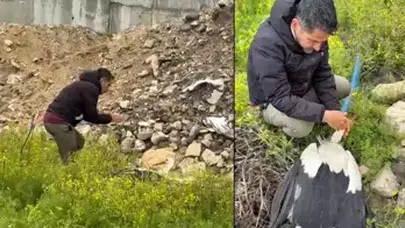 GÖÇ YOLLARINDAKİ LEYLEKLERİ VURAN VİCDANSIZLAR ARANIYOR!