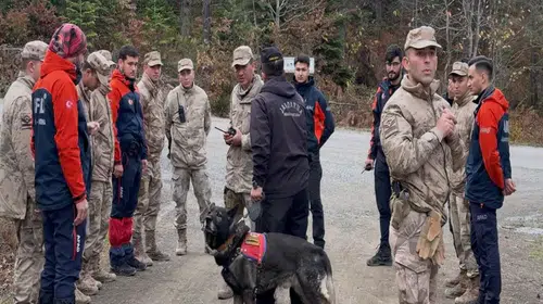 BOZKURT'TA ORMANDA KAYBOLAN ANNE VE OĞLUNDAN HENÜZ HABER YOK!