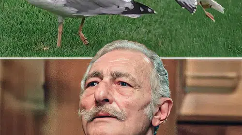 BEŞİKTAŞ’IN EFSANESİ SÜLEYMAN SEBA BUGÜN STADA MARTI OLARAK MI GELDİ?