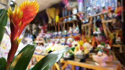 EŞİNİZE İSİMSİZ ÇİÇEK GÖNDERMEK BOŞANMA NEDENİ SAYILDI!