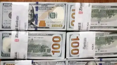 BİR AĞACIN DİBİNDE İÇİNDE 60 BİN DOLAR BULAN TEMİZLİKÇİ POLİSE TESLİM ETTİ!