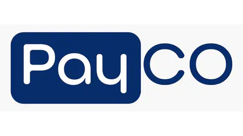 ELEKTRONİK PARA PAYCO’YA İKİ SUÇTAN OPERASYON!