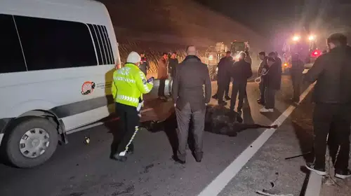 MALATYA’DA MİLYONLUK YARIŞ ATI TAYLARI ÇİFTLİKTEN NASIL KAÇTI?